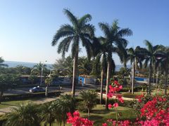 金棕榈酒店-三亚亚龙湾金棕榈度假酒店