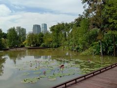 -云溪植物园