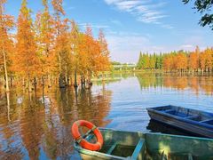 -白鹭湾湿地公园