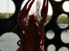 -龙虾风暴(松江店)