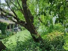 -乌镇西栅景区