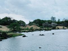 -水前寺成趣园