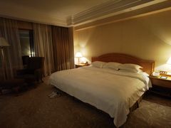 -南京维景国际大酒店(南京博物院店)