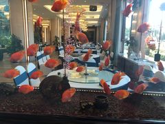 -玉雪春天(中正花园店)