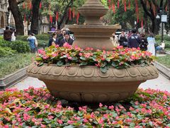 -荔湾湖公园
