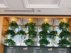 -何必是家面馆 HB noodles&coffee