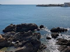 -大连老虎滩海洋公园