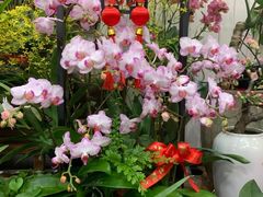 -双季花艺园艺市场(浦东店)