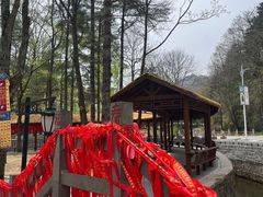 -洛阳白云山景区