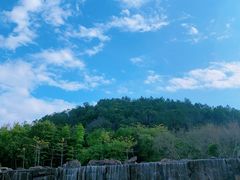 -神光山国家森林公园