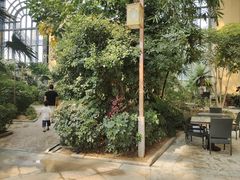 -郑州银基黄帝宫御温泉