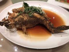 -陶陶居海鲜酒家(新马路店)