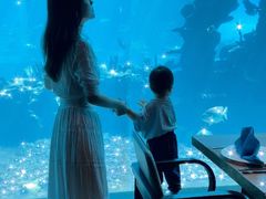 -海棠湾洲际-涛·海底餐厅·美人鱼·自助餐·海底隧道