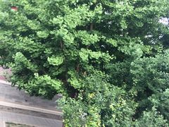 -北京市府学胡同小学
