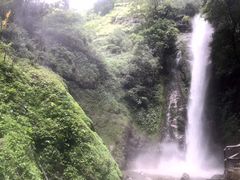 -莫里热带雨林景区