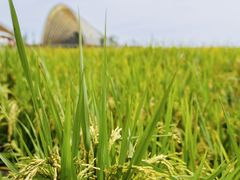 -中国天府农业博览园