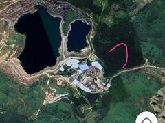 -黄埔油麻山森林公园