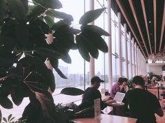 -Seesaw Coffee(朝阳大悦城店)