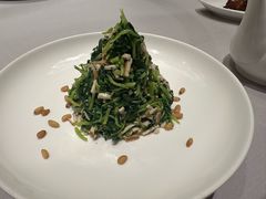 -张生记(丁香国际店)