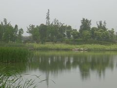 -尚贤河湿地