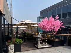 -Hatsune隐泉日式料理(三里屯太古里店)