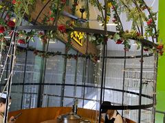 -同仁四季椰子鸡(宝安壹方城店)