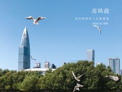 -深圳湾公园(南山区)