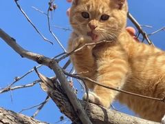 -冯三姐川渝冒肚(青年路店)