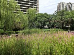 -木塔寺遗址生态公园