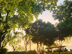 -太麻里文创咖啡馆(创意设计中心店)