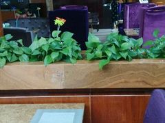 -万佳国际酒店-阳光空中西餐厅(石狮服装城店)