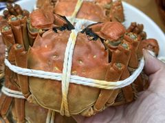 -品鲜村农家菜·阳澄湖大闸蟹(总店)