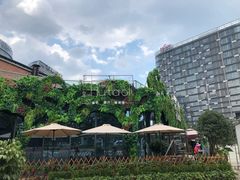 -新天地活力PARK