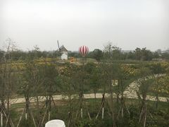 -金卉庄园