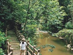 -广州市石门国家森林公园