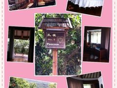 -三亚亚龙湾人间天堂鸟巢度假村