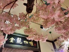 -金龙咖喱