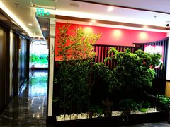 -洞庭家宴·头牌甲鱼(广渠门店)