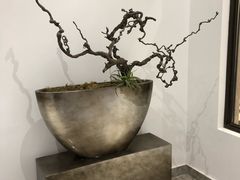 -必胜客(大悦城店)
