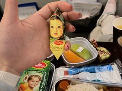 -谢列梅捷沃国际机场