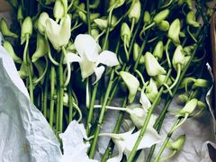 -荷兰布尔玛国际花艺学院