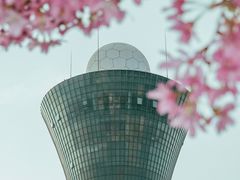 -狐尾山公园