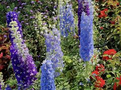 -人民公园(罗湖区)