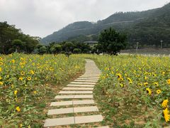 -龙江公园