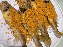 -金枝玉叶上海人家食府(三里河店)