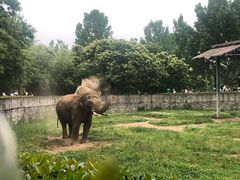 -西安秦岭野生动物园