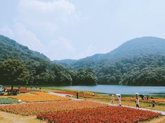 -广州市石门国家森林公园