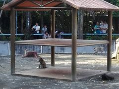 -广东茂名森林公园