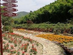 -宁波浙东大竹海景区