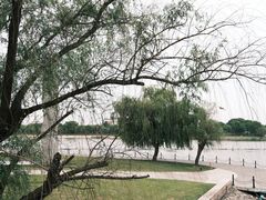 -上海月湖雕塑公园